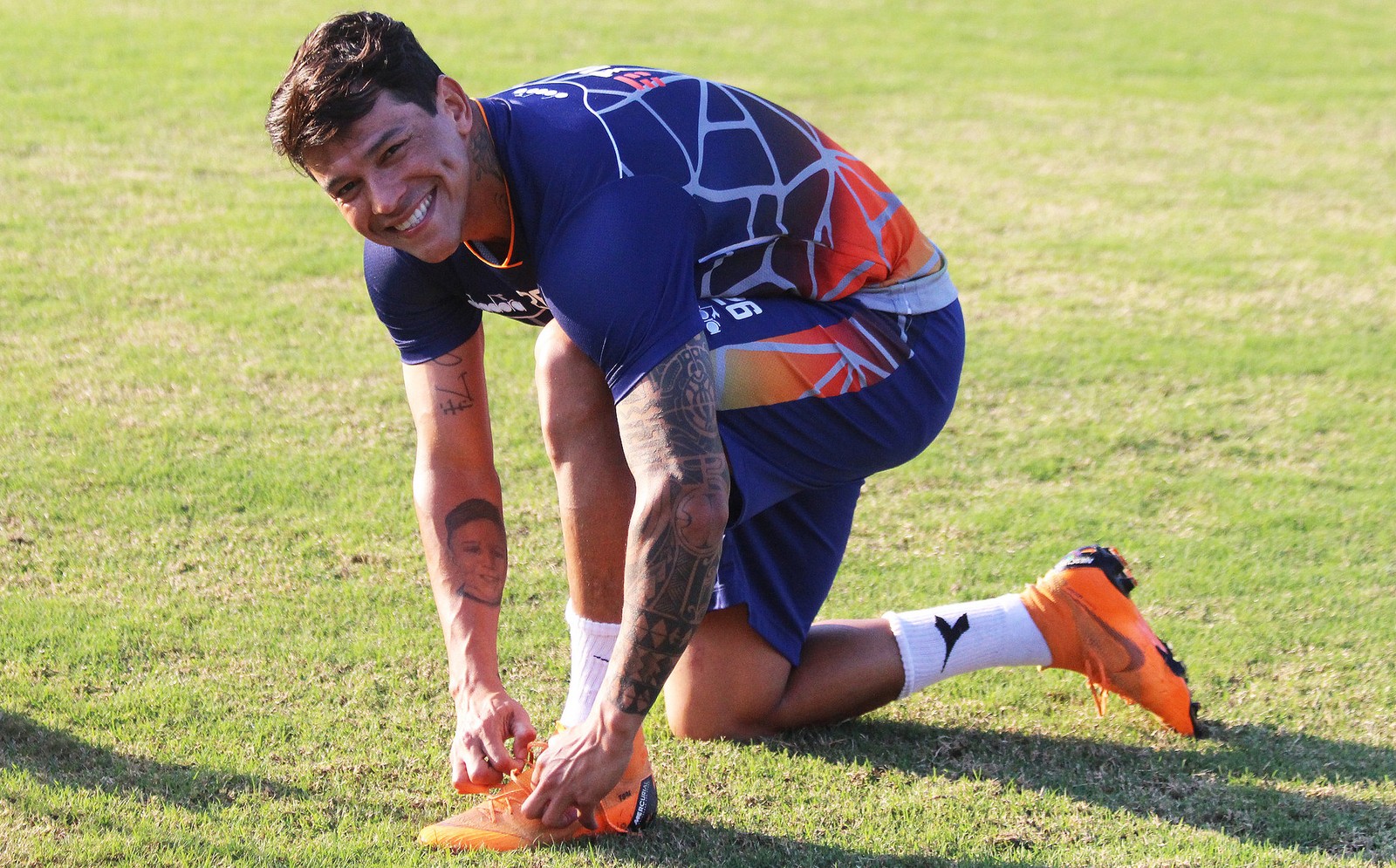 image para ilustrar o artigo