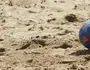 Futebol de Areia (Reprodução da internet)