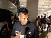 Guarin (Felipe Schmidt)
