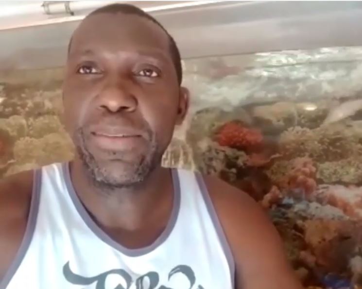 image para ilustrar o artigo