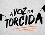 A voz da torcida (Reprodução)