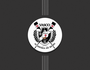 Remo (Vasco Remo / SuperVasco)