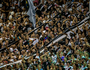 Torcida (Daniel Ramalho/Vasco)