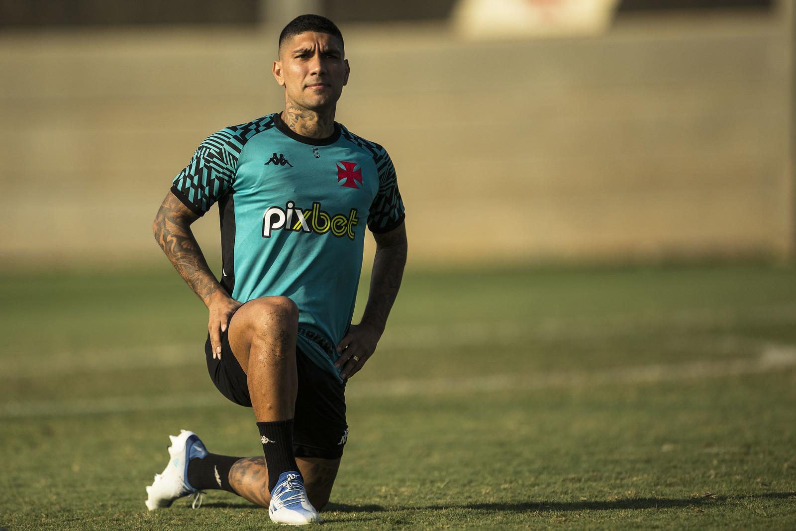 image para ilustrar o artigo