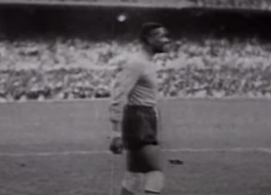 image para ilustrar o artigo