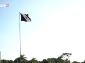 SAF - Bandeira do Vasco (VascoTV, Reprodução/YouTube)