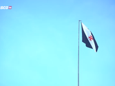 SAF - Bandeira do Vasco (VascoTV, Reprodução/YouTube)