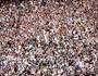 Torcida (Matheus Lima/Vasco)