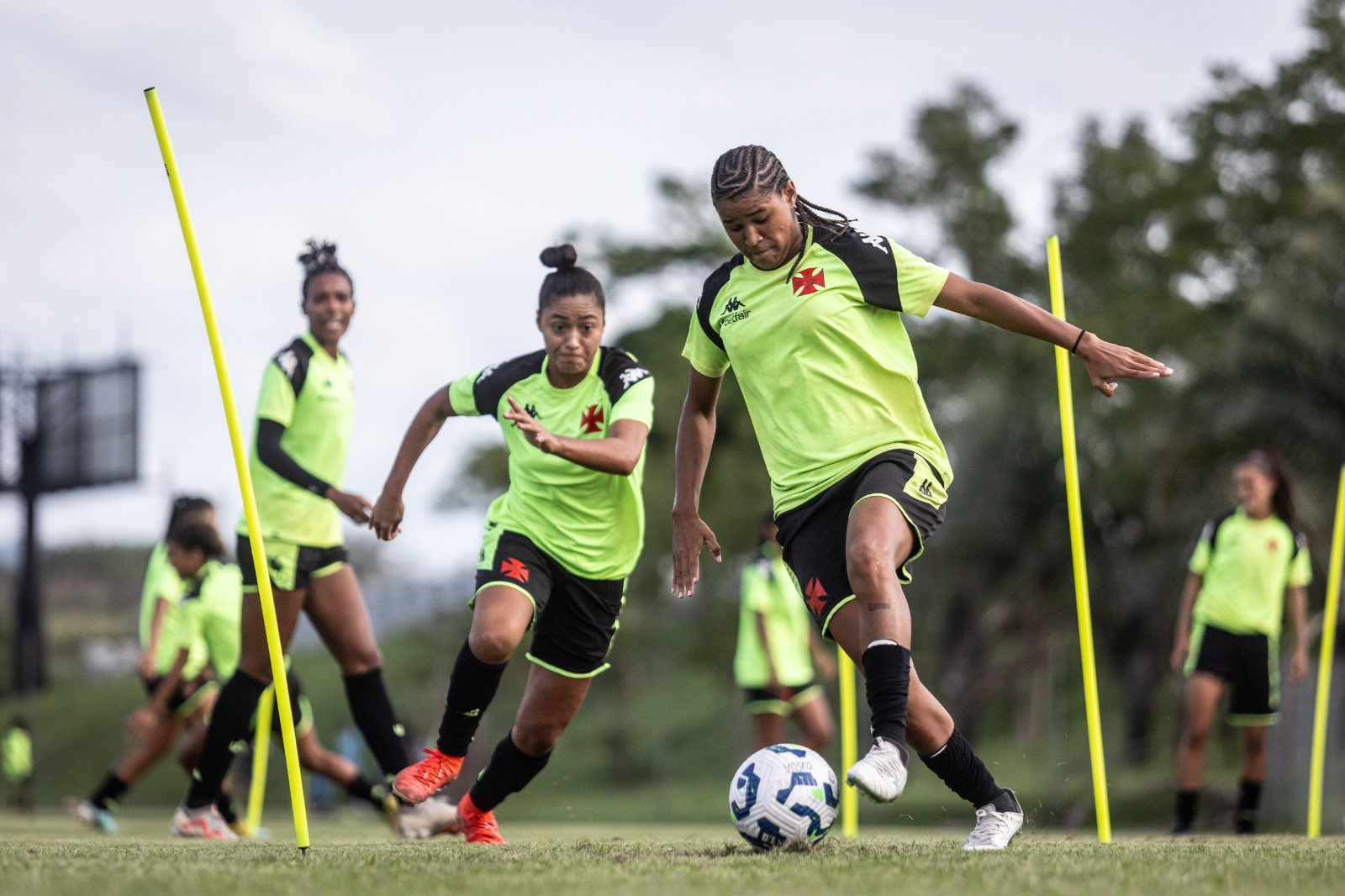 image para ilustrar o artigo