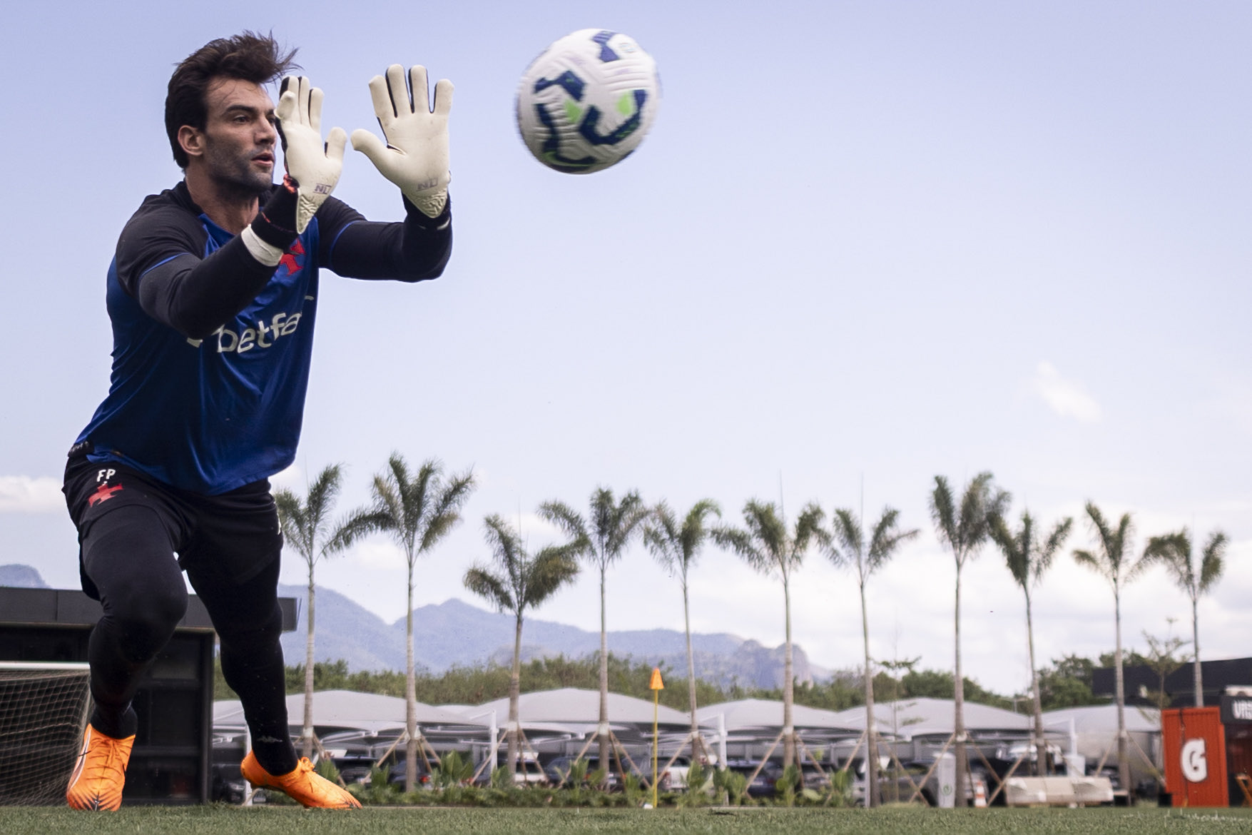 image para ilustrar o artigo