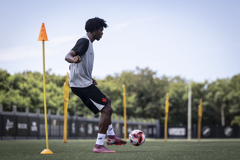 image para ilustrar o artigo