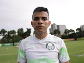 Bruno Rodrigues (TV Palmeiras Sportingbet, Reprodução/Youtube)