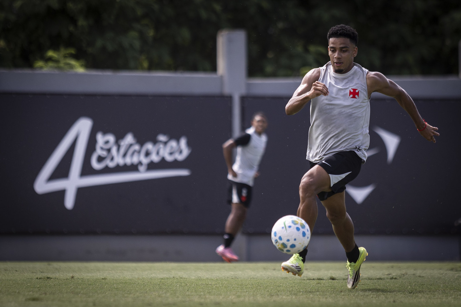 image para ilustrar o artigo