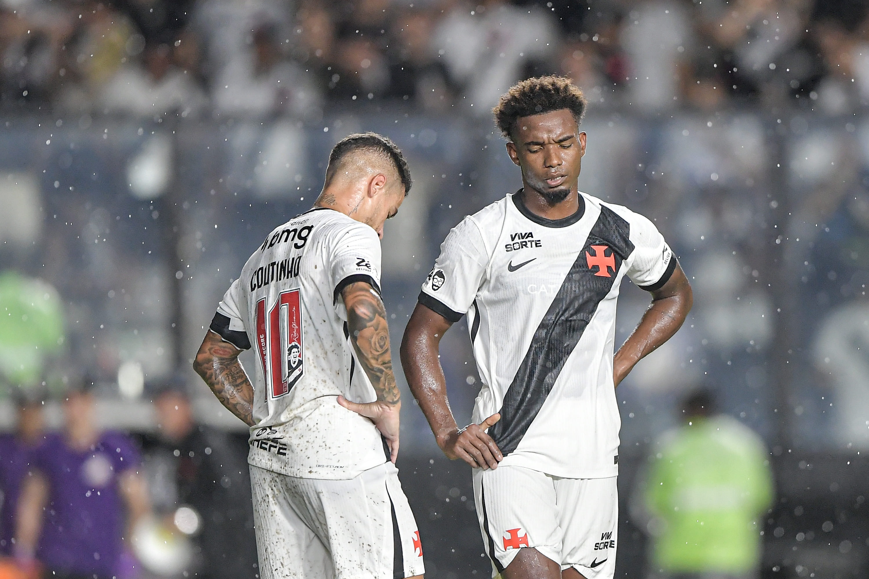 image para ilustrar o artigo