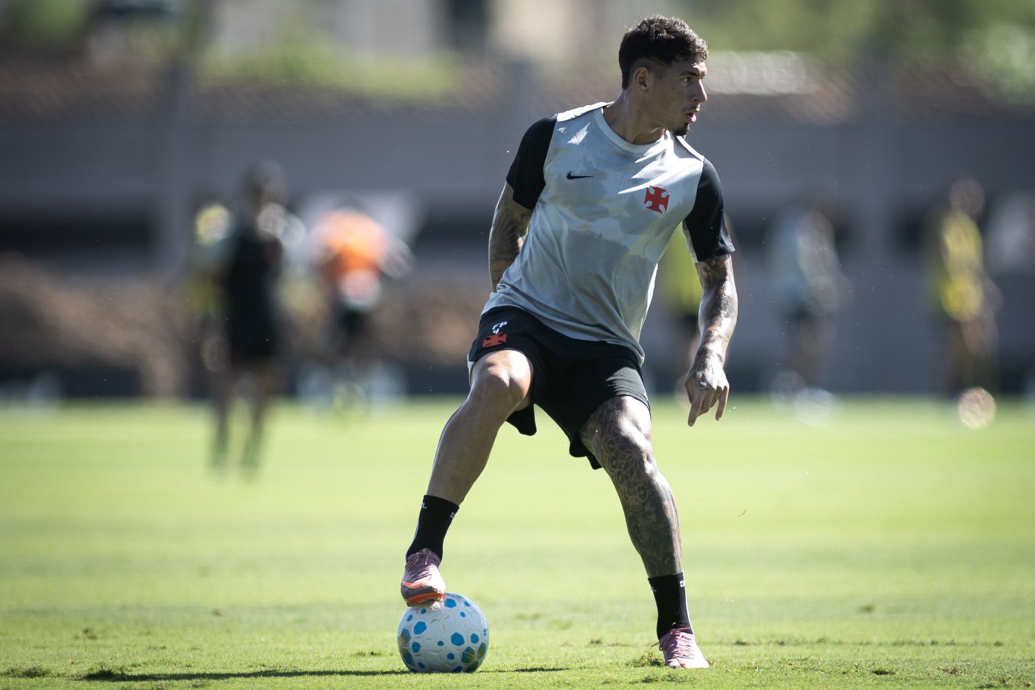 image para ilustrar o artigo