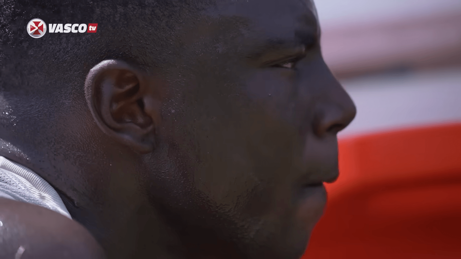 image para ilustrar o artigo