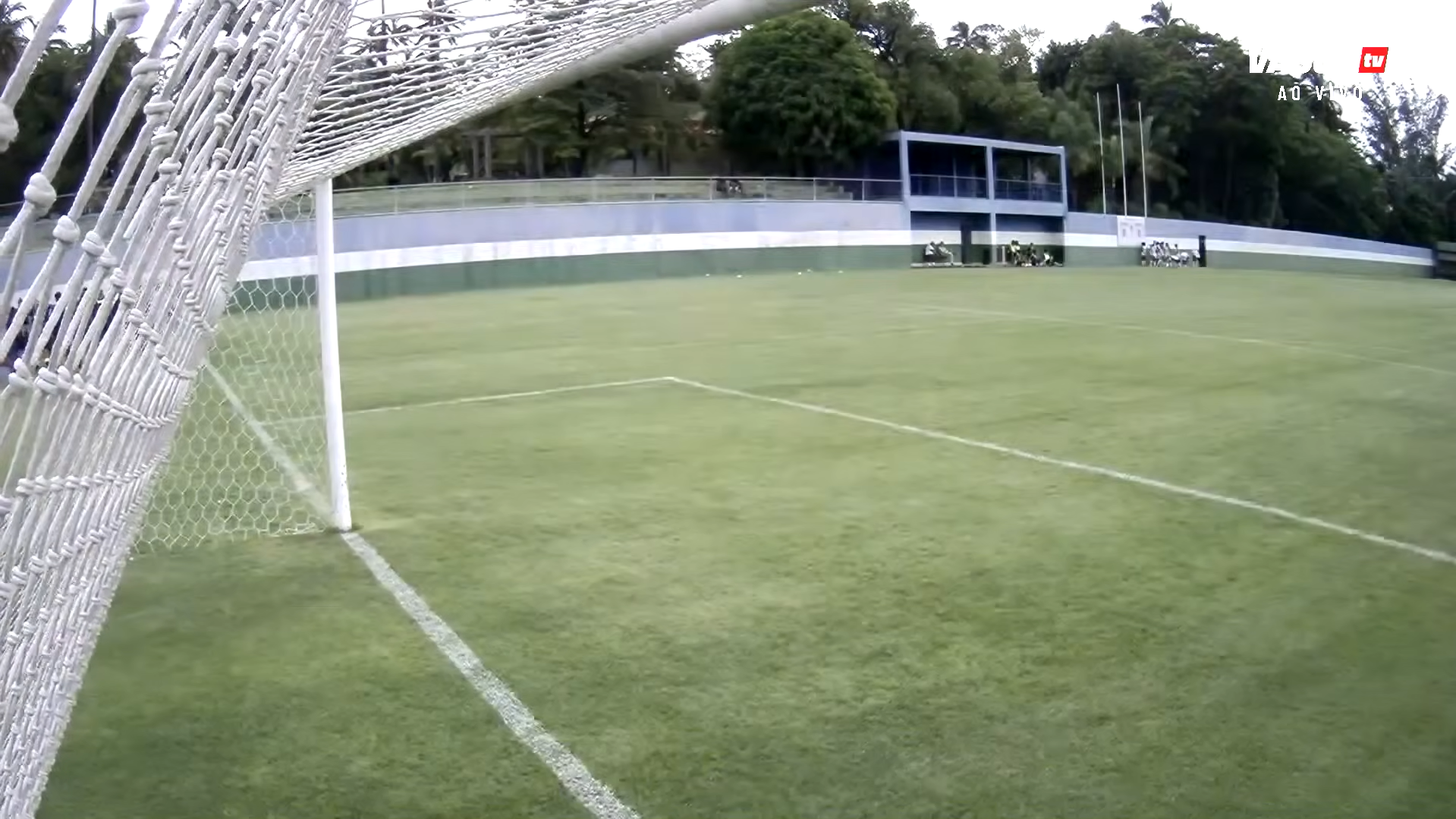 image para ilustrar o artigo