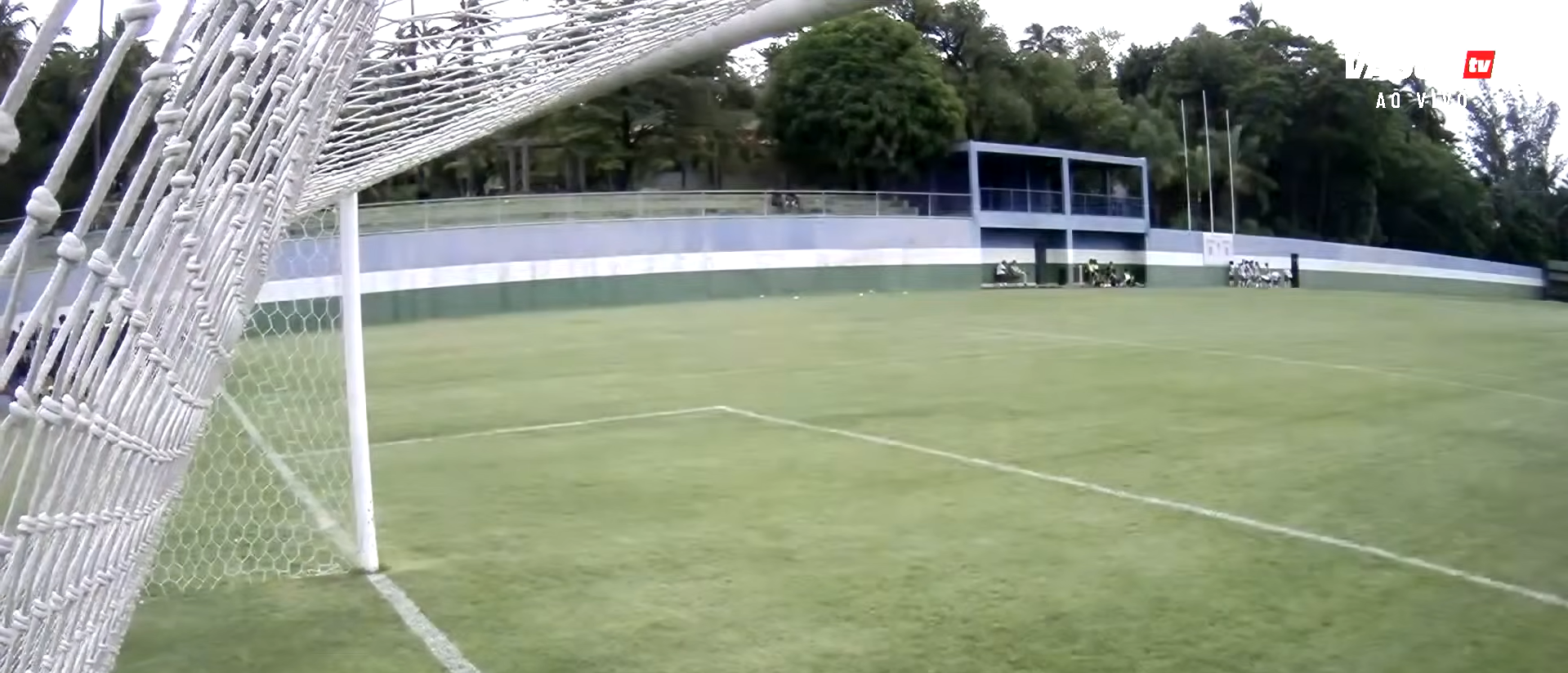 image para ilustrar o artigo