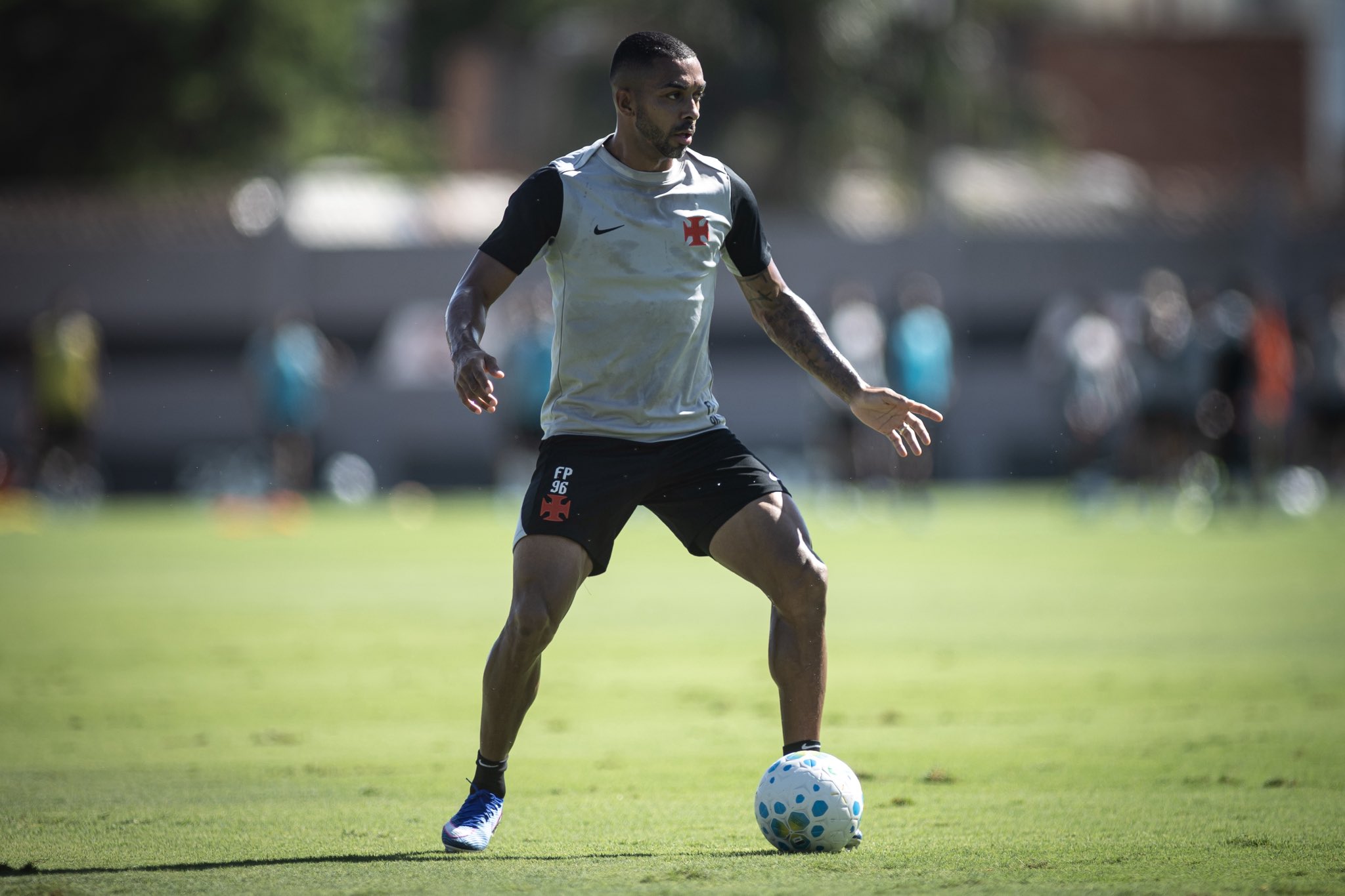 image para ilustrar o artigo