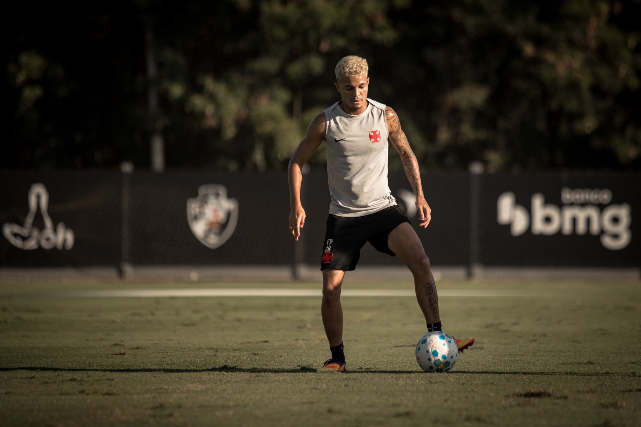 image para ilustrar o artigo