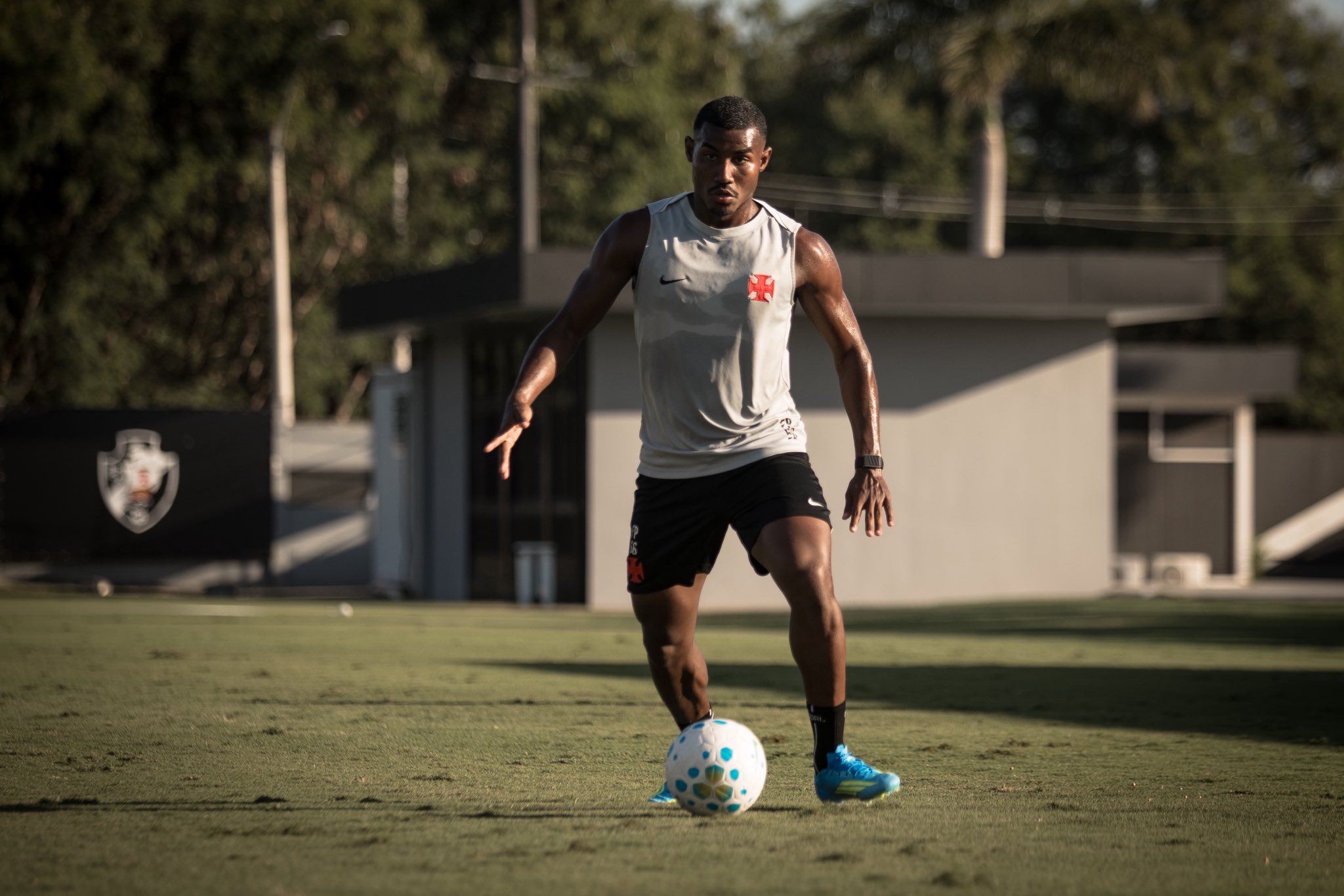 image para ilustrar o artigo